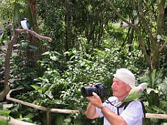 040 Birdworld Kuranda